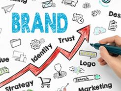 Global branding development and registration trends