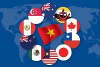 Need-to-know issues about Trademark protection and Patent protection in Vietnam under the Comprehensive and Progressive Agreement for Trans-Pacific Partnership (CPTPP)