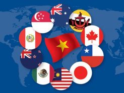 Need-to-know issues about Trademark protection and Patent protection in Vietnam under the Comprehensive and Progressive Agreement for Trans-Pacific Partnership (CPTPP)
